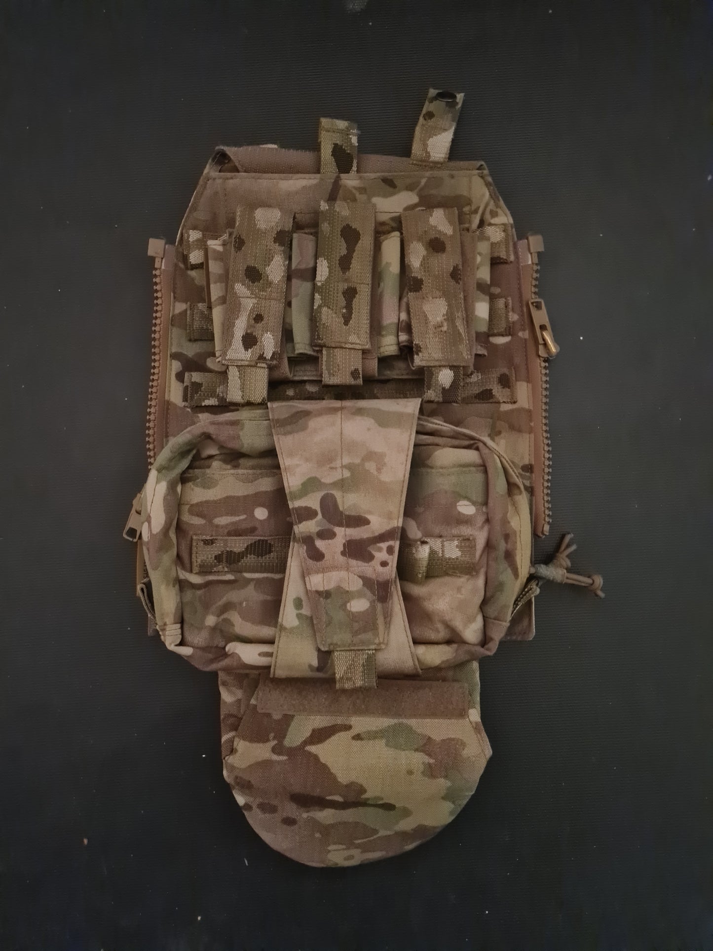 Warrior Assault Panel