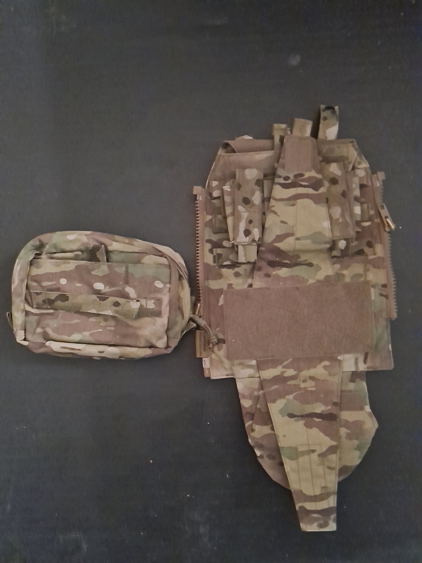 Warrior Assault Panel