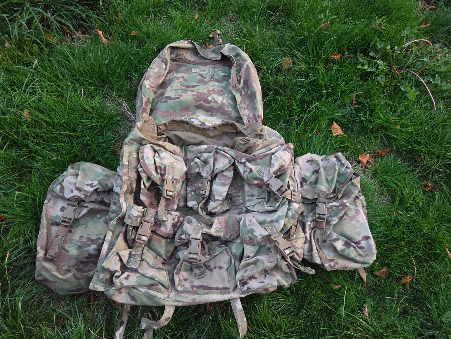 Warrior BMF Bergan