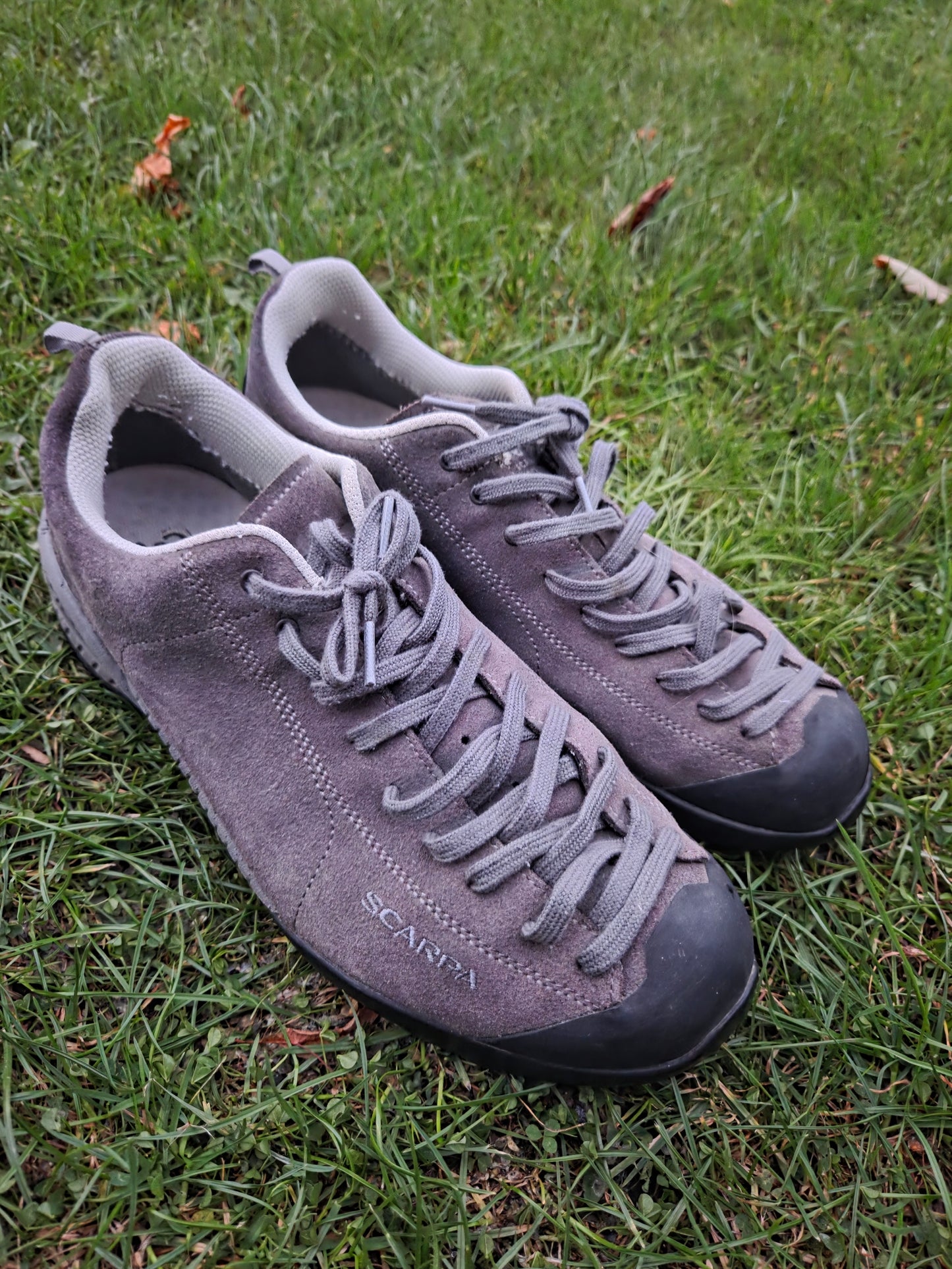 Scarpa Mojito Approach Shoes
