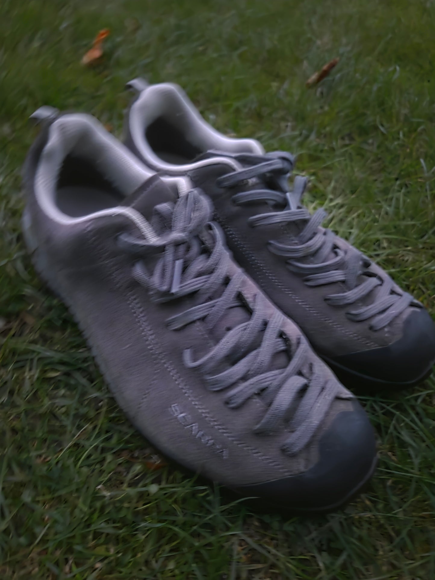 Scarpa Mojito Approach Shoes