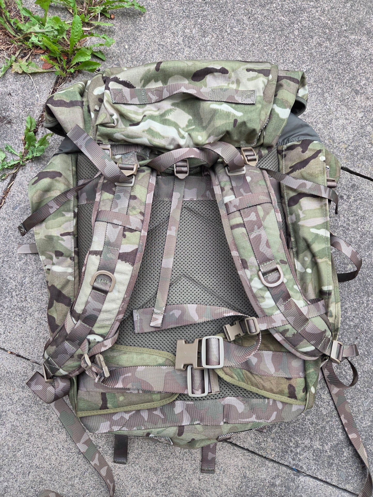 PLCE Tailored Bergan