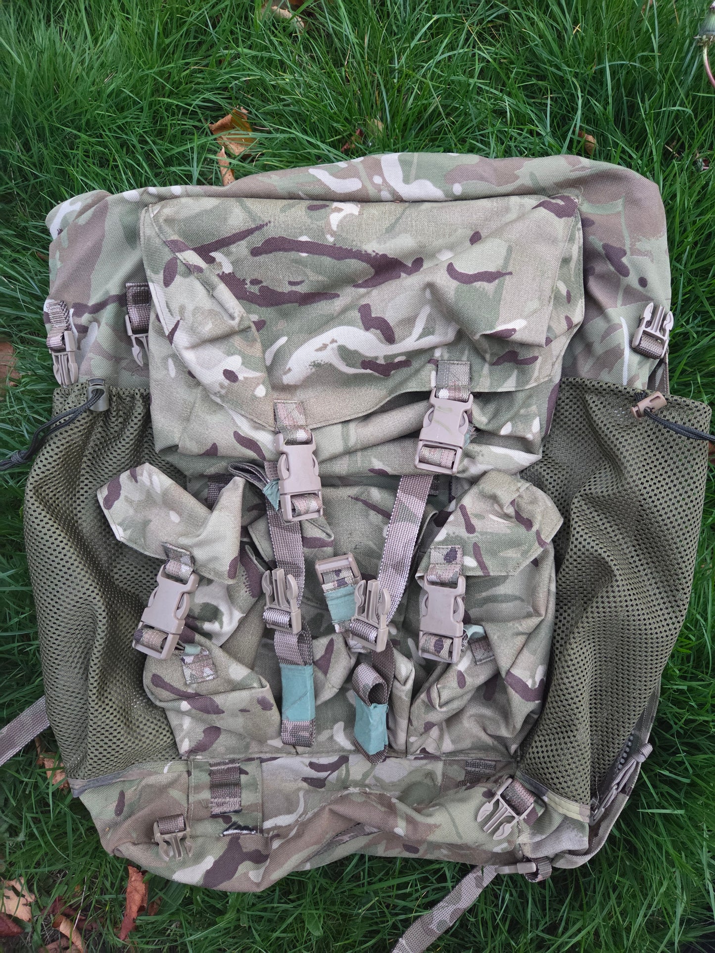 PLCE Tailored Bergan