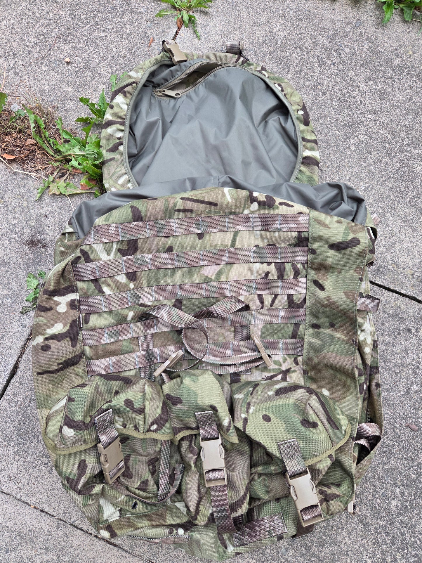 PLCE Tailored Bergan