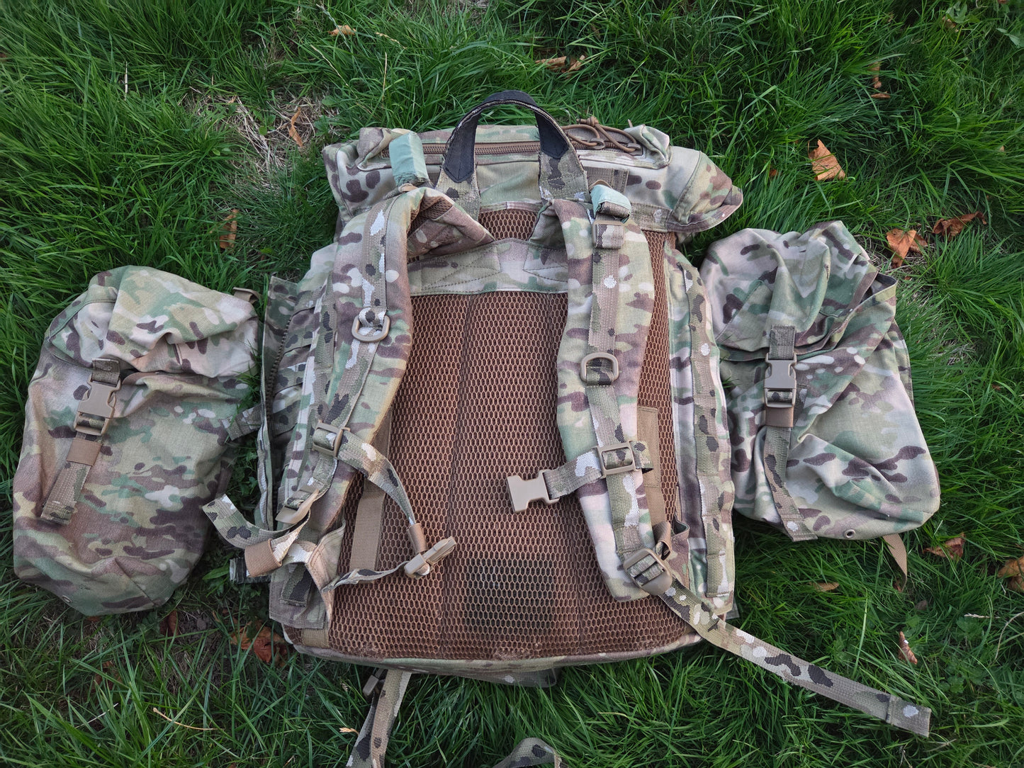 Warrior BMF Bergan