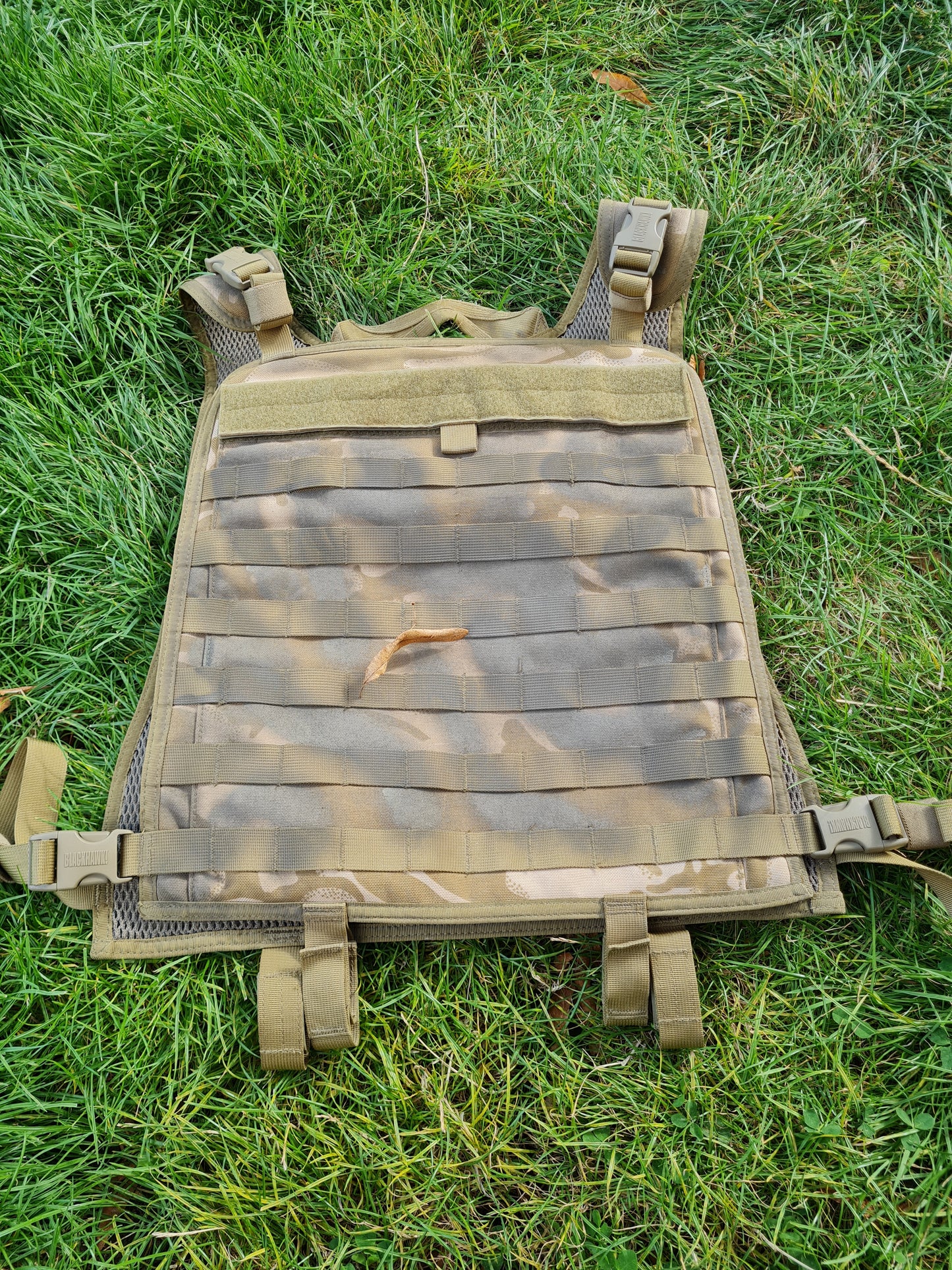 Blackhawk Dessert Molle Plate Carrier