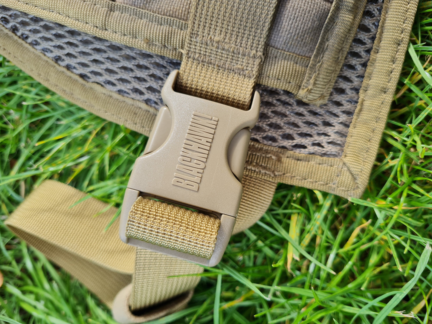 Blackhawk Dessert Molle Plate Carrier