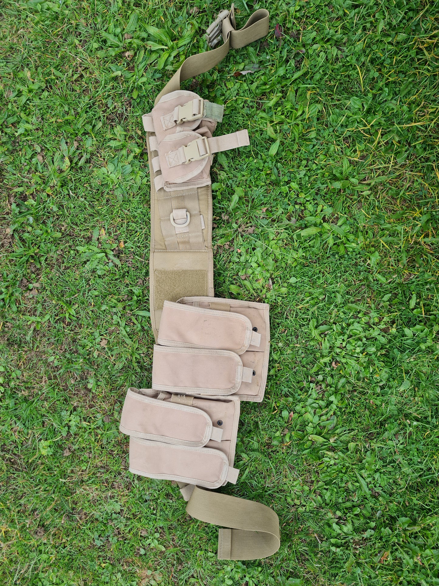 Coyote Tan molle belt and pouches