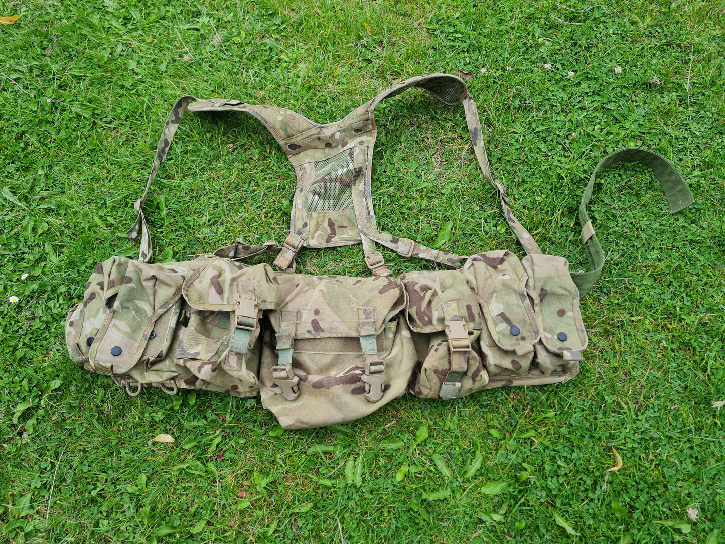 Dragon Multicam Webbing