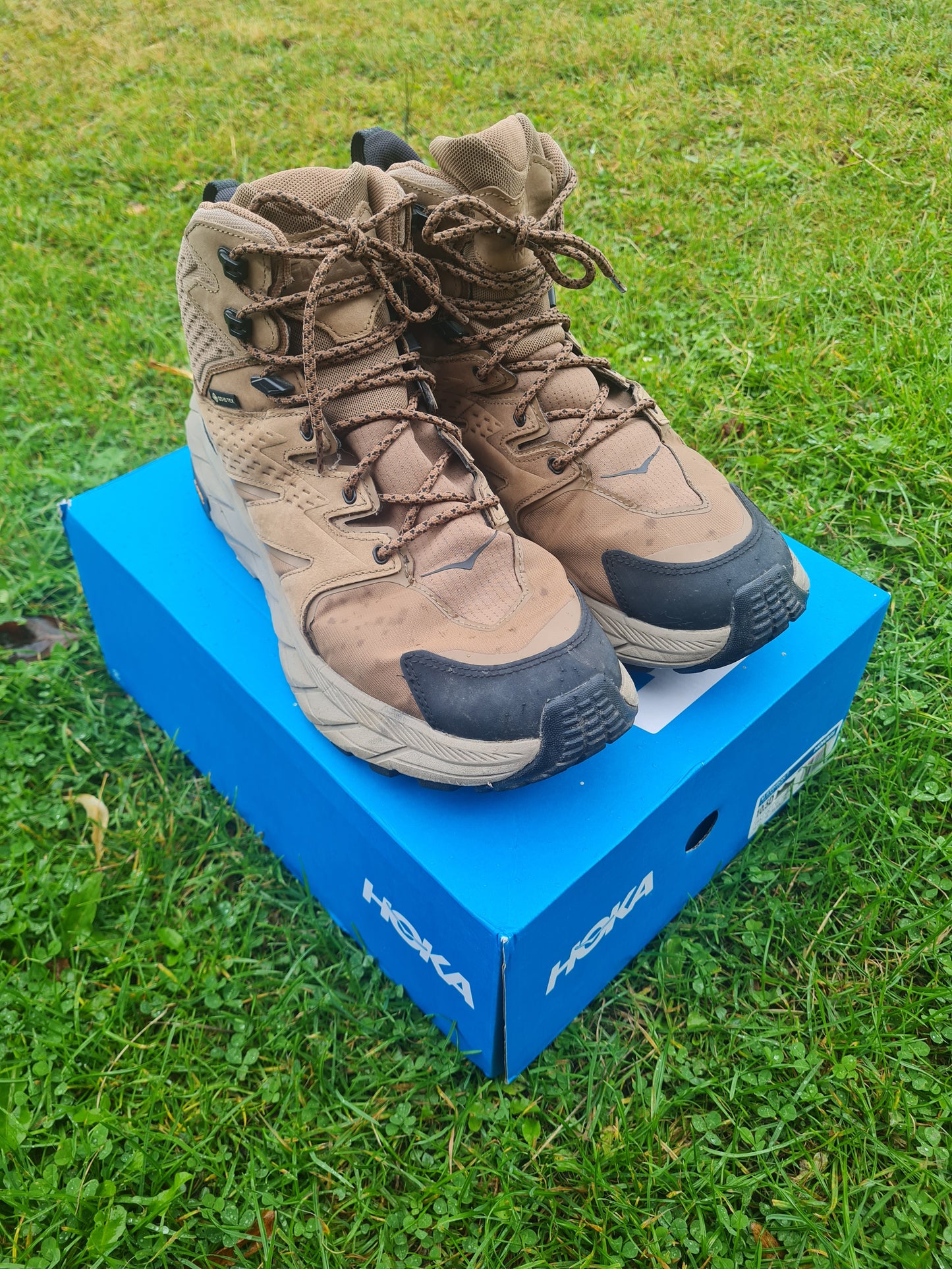 HOKA Boots