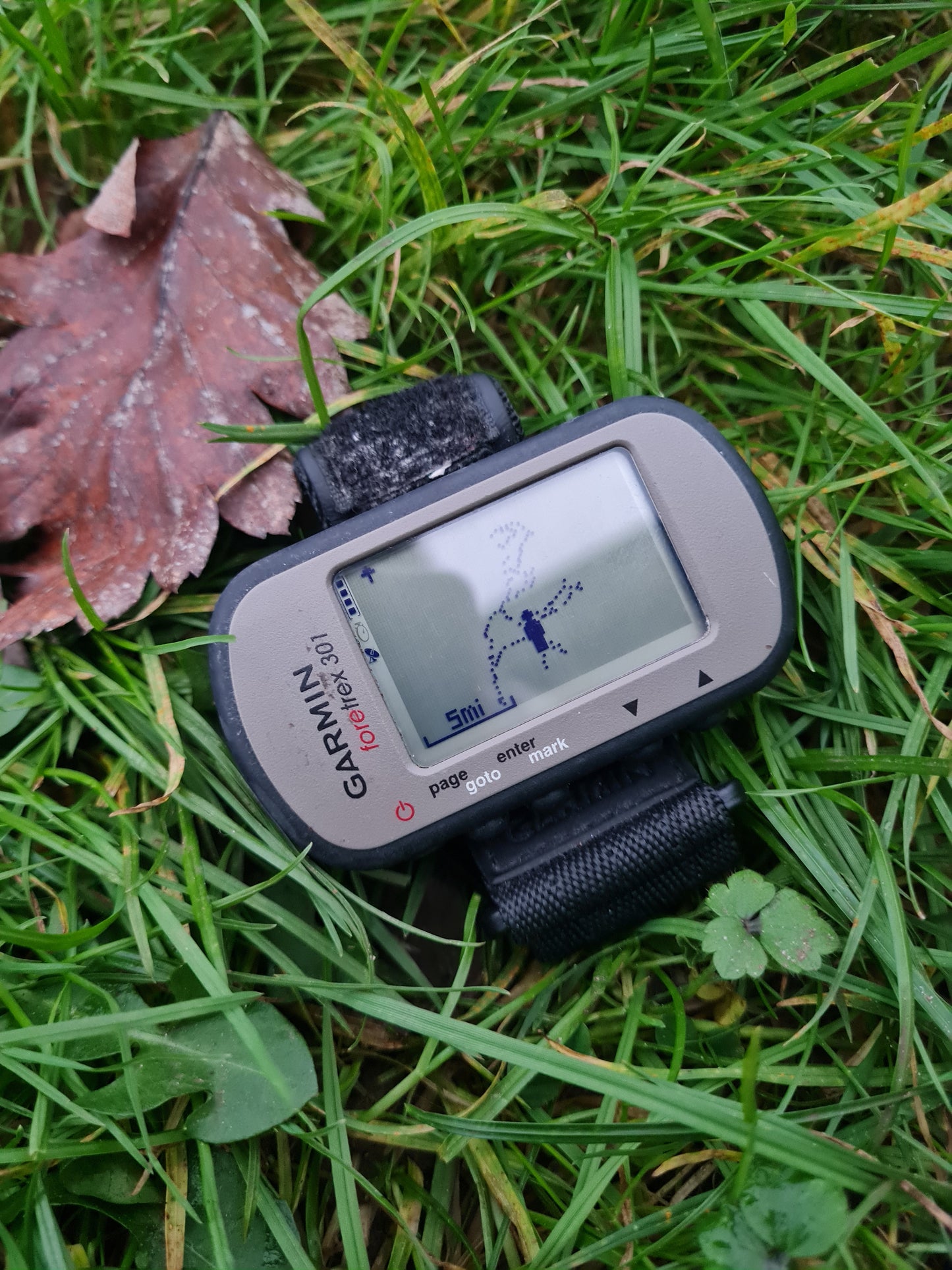 Garmin foretrek 301