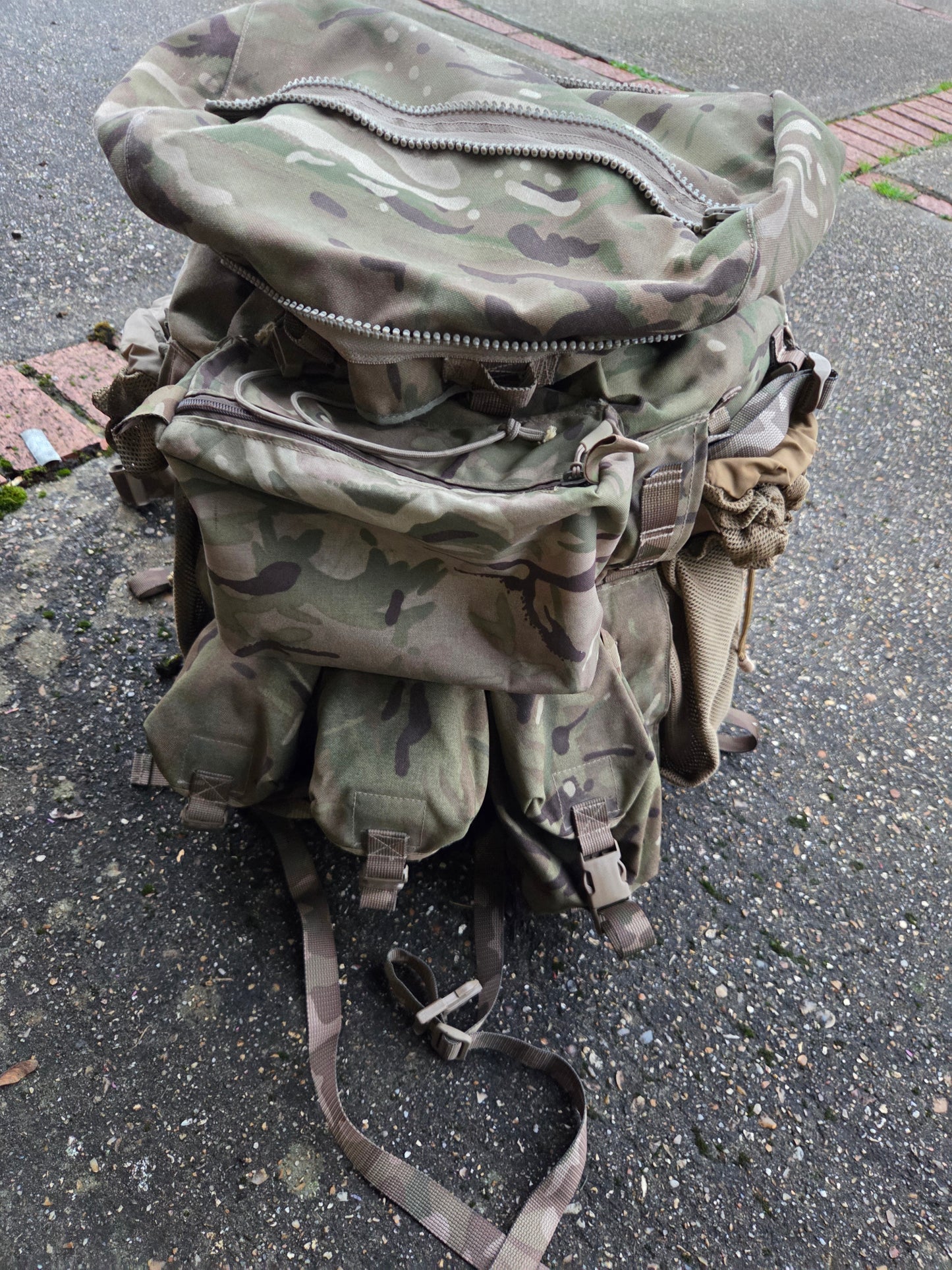 PLCE Tailored Bergan