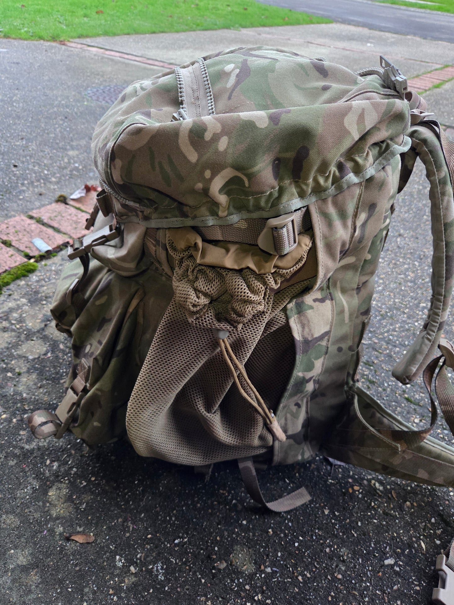 PLCE Tailored Bergan