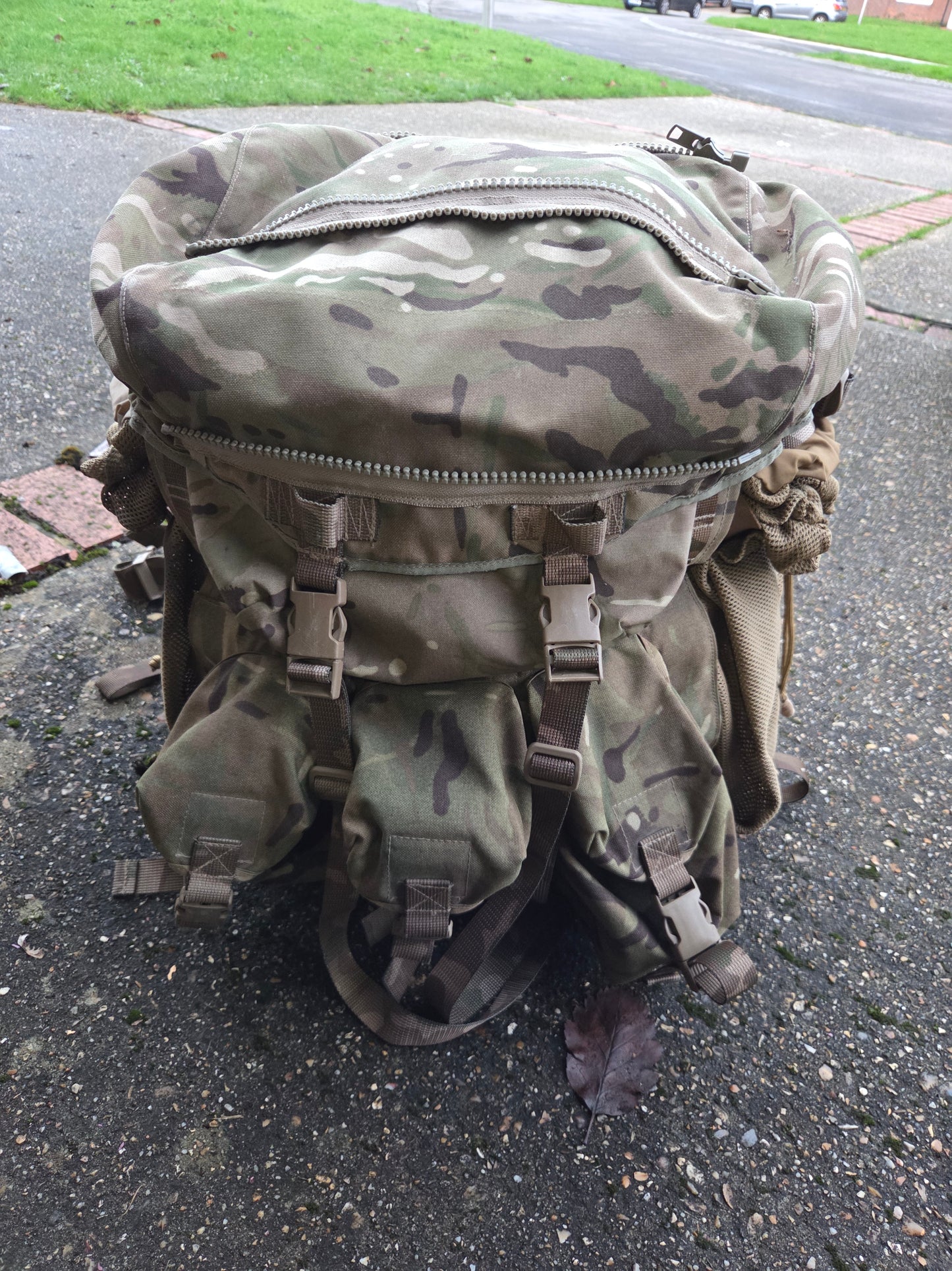 PLCE Tailored Bergan