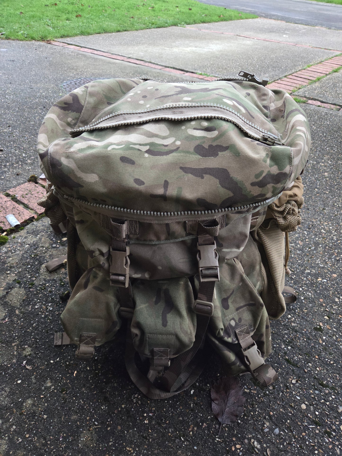 PLCE Tailored Bergan